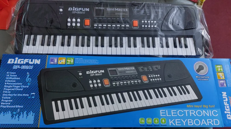 61 Keys Electronic Keyboard with Microphone BF-630A1